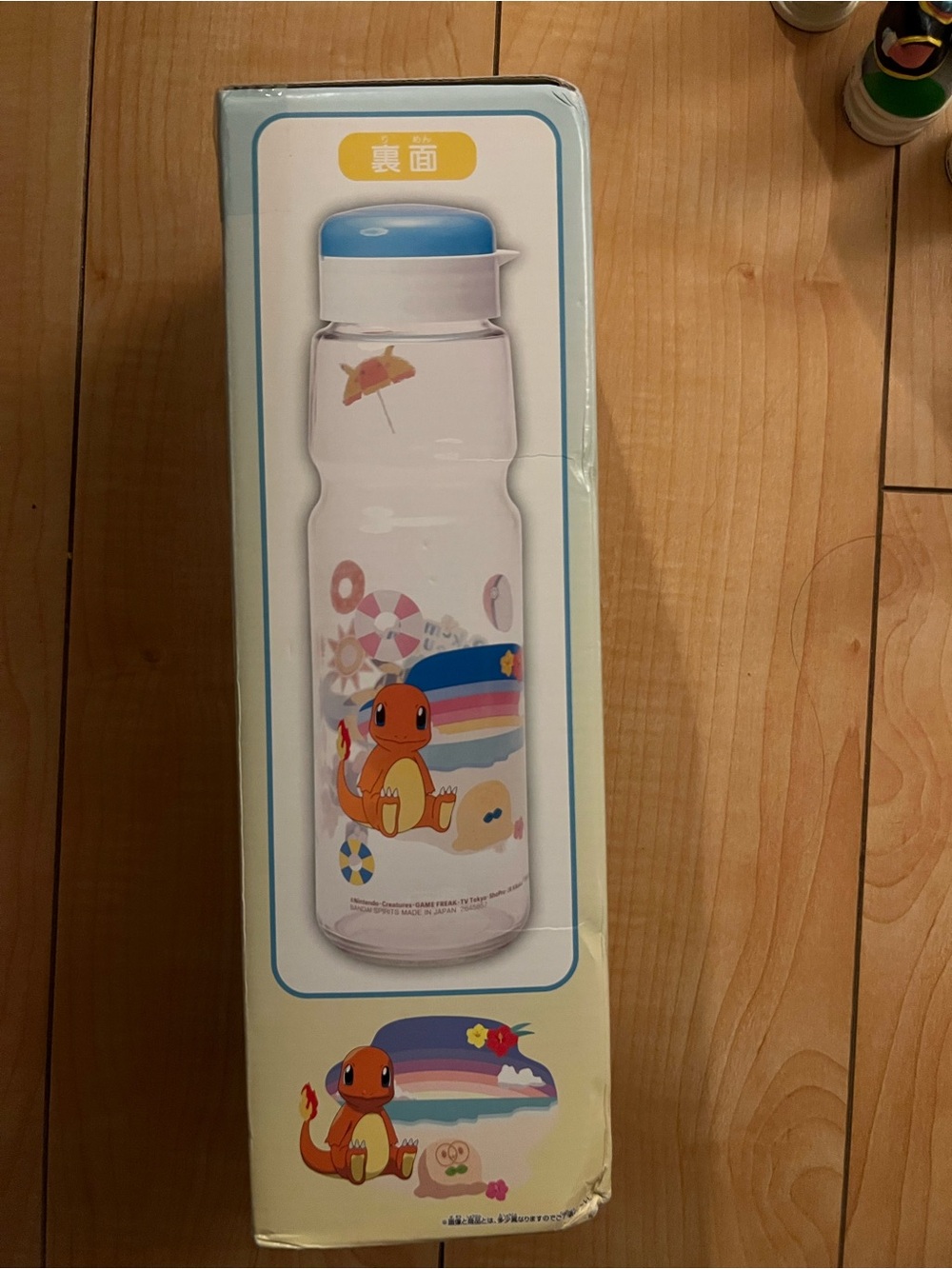 Pokemon Charmander Clear Water Bottle with Blue Cap and Rainbow Beach Art